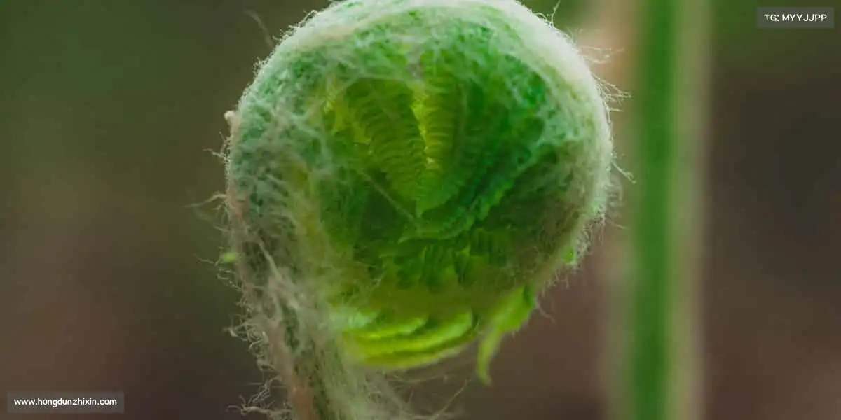 <strong>ued官网</strong>🥋从新手到高手，从兴趣到热爱！首页干货，陪你走好每一步～